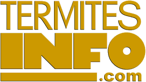 TERMITES INFO